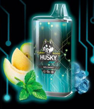 Электронная сигарета Husky Airmax - Melomint (Медовая дыня, перечная мята, лед), 8000 затяжек Электронная сигарета Husky Airmax - Melomint (Медовая дыня, перечная мята, лед), 8000 затяжек