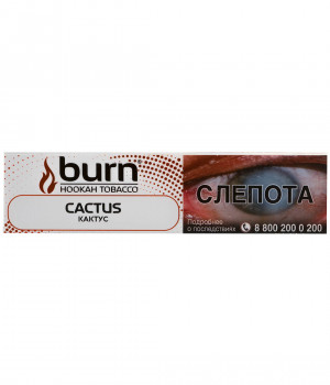 Табак для кальяна Burn Cactus 25 г (кактус)