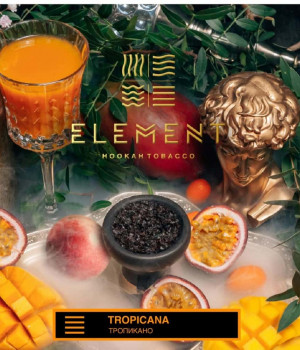 *Табак для кальяна Элемент 25гр линейка Земля Tropicana (банка)