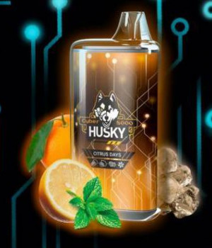 Электронная сигарета Husky Airmax - Citrus days (Апельсин, лимон, мята, лед), 8000 затяжек Электронная сигарета Husky Airmax - Citrus days (Апельсин, лимон, мята, лед), 8000 затяжек