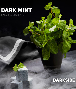 Darkside 100 г -  Dark Mint (Мята)