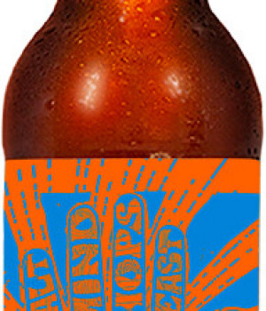 Пиво Jaws - Citraizen, 0.5л, 6.0%
