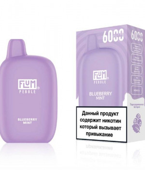 Электронная сигарета Flum Pebble - Blueberry Mint (Черника Мята), 6000 затяжек