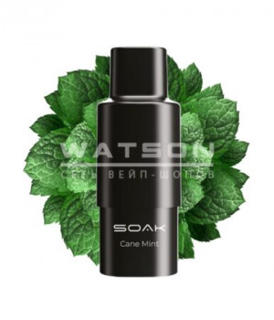 Картридж SOAK Q - Estragon (Тархун), 3000 затяжек