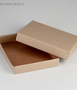 Коробка Крафт 26х21,5х4 см