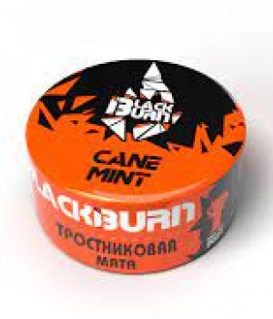 BlackBurn 25 г -   Cane Mint (Тросниковая мята)