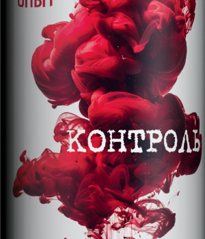 Пивной напиток 4Brewers - Контроль (Брусника, Мед, Пряности), 0.45л, 6.0%
