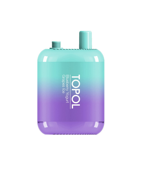 Электронная сигарета Topol Gemini - Blueberry Yogurt / Grapes Ice, 10000 затяжек (М)