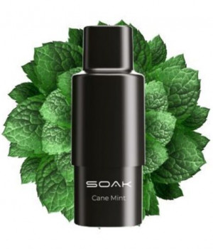 Картридж SOAK Q - Cane Mint (Тростниковая мята), 1500 затяжек
