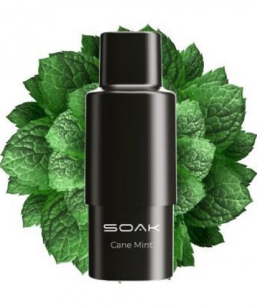 Картридж SOAK Q - Cane Mint (Тростниковая мята), 1500 затяжек