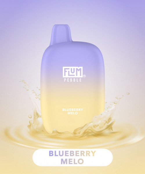 Электронная сигарета Flum Pebble - Blueberry Melo (Черника Дыня), 6000 затяжек