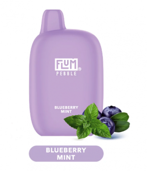Электронная сигарета Flum Pebble - Blueberry Mint (Черника Мята), 6000 затяжек