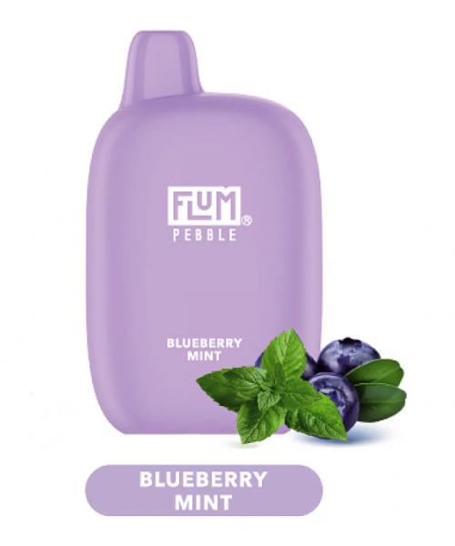 Электронная сигарета Flum Pebble - Blueberry Mint (Черника Мята), 6000 затяжек