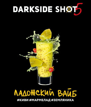 Darkside Shot 30 г - Ладожский вайб (киви мармелад земляника)