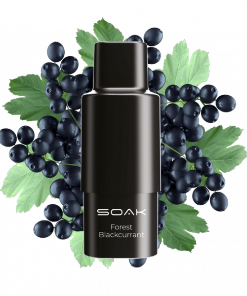 Картридж SOAK Q - Forest Blackcurrant (Черная смородина), 3000 затяжек