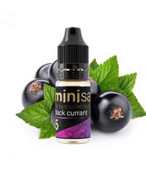 Жидкость Mini Salt 10 мл strong - Black Currant (Черная смородина)