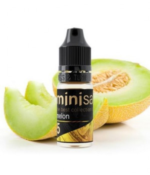 Жидкость Mini Salt 10 мл strong - Melon (Дыня)