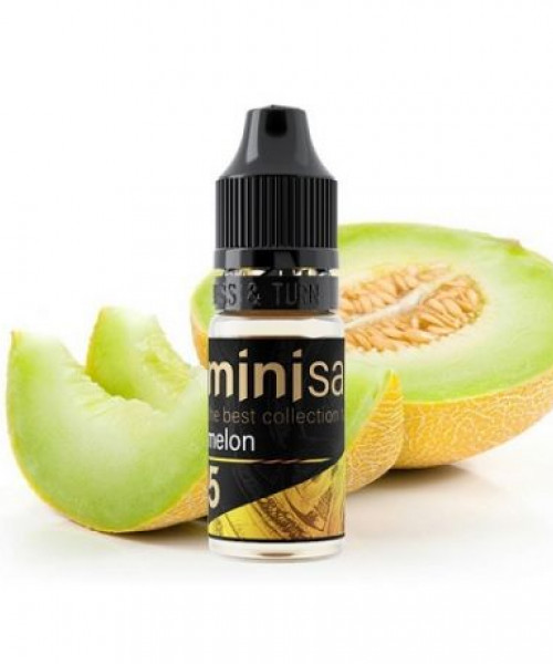 Жидкость Mini Salt 10 мл strong - Melon (Дыня)