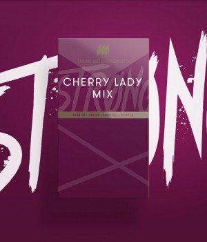 Табак Шпаковского strong 40 г - CHERRY LADY MIX (Вишня, арбуз, малина, холод)